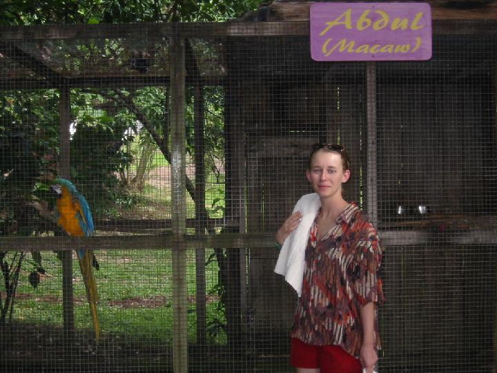 Click for original image 459k 1024x768